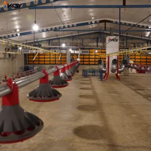 پروژه اجرایی در مرغداری میبد یزد توسط کولاک گستر یزد