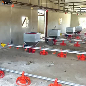 پروژه اجرایی دانخوری و آبخوری برای مرغداری در زاهدان