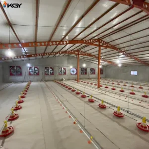 پروژه اجرایی دانخوری و آبخوری برای مرغداری در زاهدان