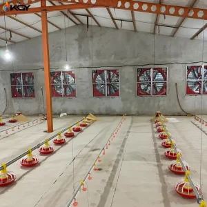 پروژه اجرایی دانخوری و آبخوری برای مرغداری در زاهدان