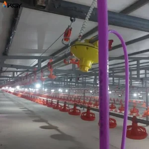 پروژه اجرایی دانخوری و آبخوری برای مرغداری در زاهدان