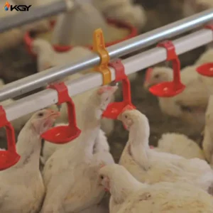 پروژه اجرایی دانخوری و آبخوری برای مرغداری در زاهدان