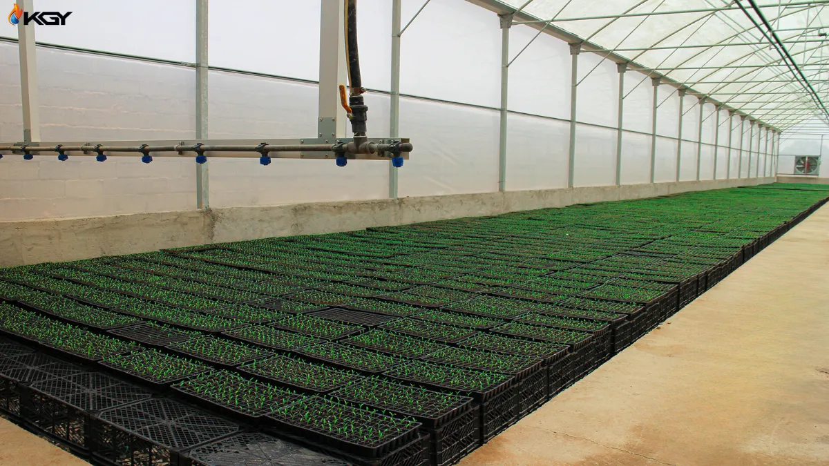 سیستم مه پاش گلخانه : راهنمای جامع و کامل سیستم مه پاش گلخانه 4 سیستم مه پاش گلخانه. راهنمای جامع و کامل سیستم مه پاش گلخانه