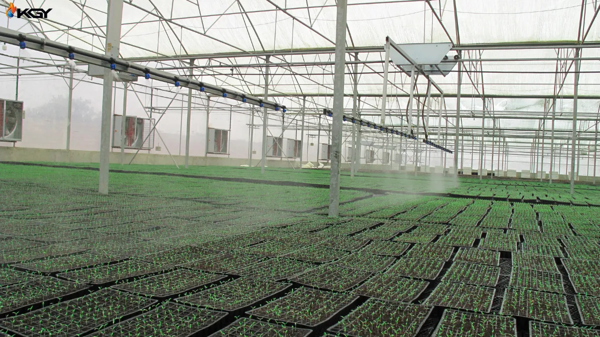 سیستم مه پاش گلخانه : راهنمای جامع و کامل سیستم مه پاش گلخانه 3 سیستم مه پاش گلخانه. راهنمای جامع و کامل سیستم مه پاش گلخانه