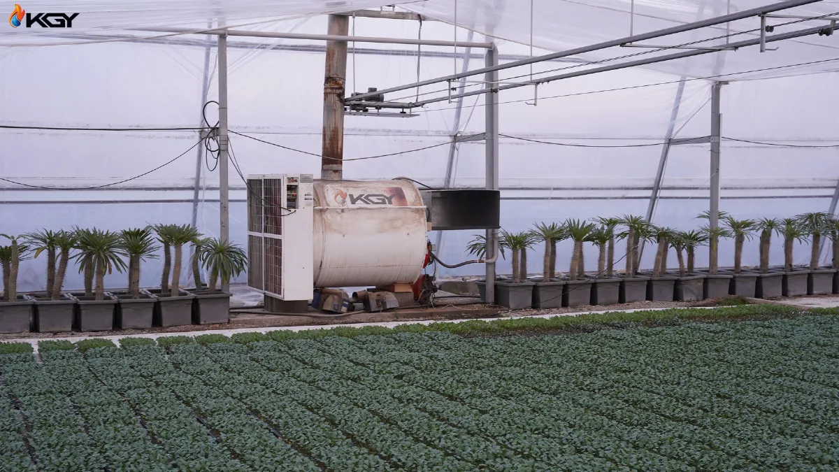 بخاری گلخانه با کیفیت بالا