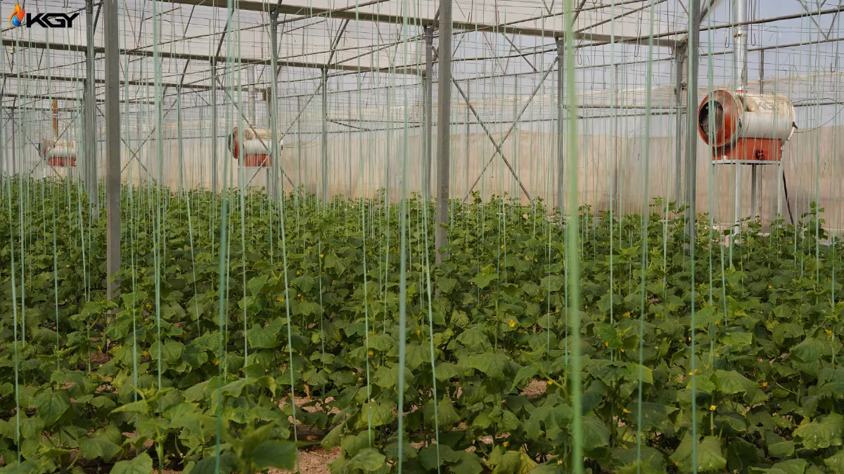 بخاری گلخانه دوددکش دار