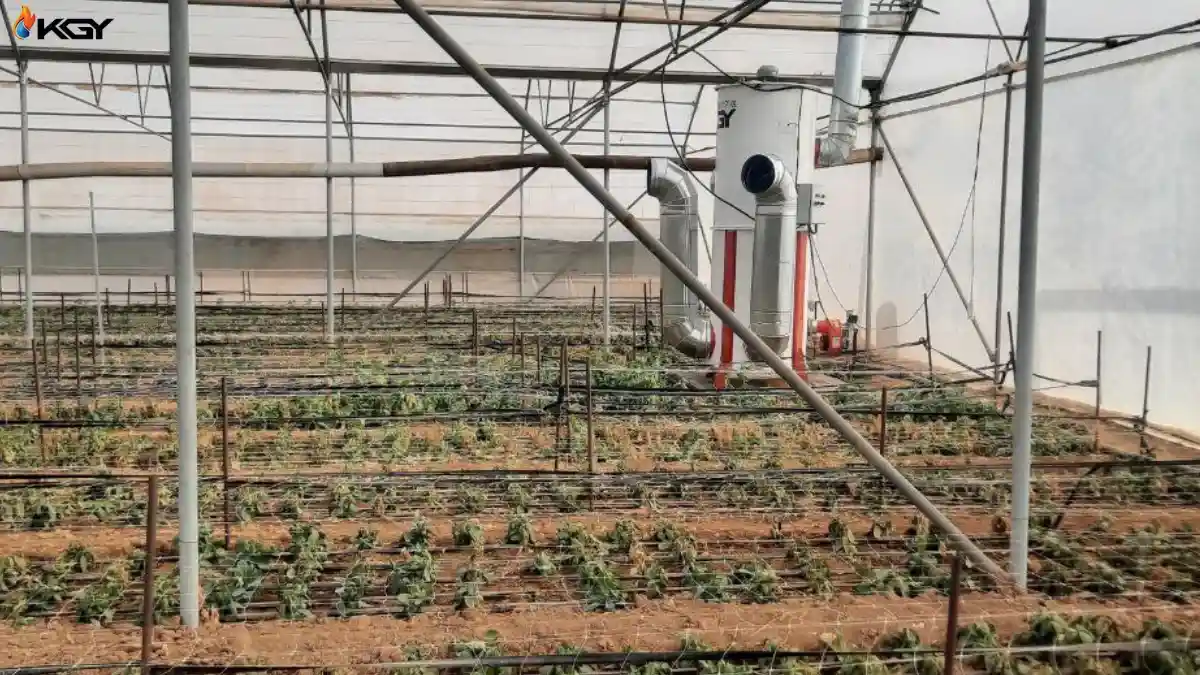 بهترین بخاری صنعتی برای گلخانه - نکات مهم در خرید و استفاده 4 بهترین بخاری صنعتی ایران