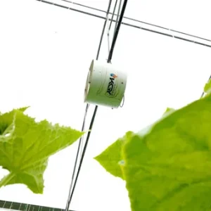 پروژه های اجرایی گلخانه ها 41 پروژه اجرایی فن سیرکوله گلخانه