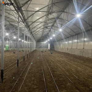 پروژه های اجرایی گلخانه ها 48 تجهیز گلخانه در یزد به سیستمهای گرمایشی