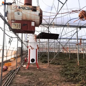 تجهیز گلخانه آقای کبودبندیان در همدان