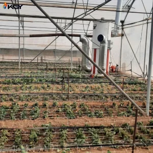 هیتر در گلخانه خمین