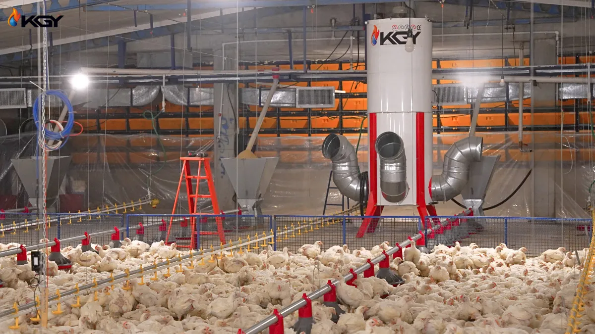 راهنمای جامع خرید بخاری صنعتی | انتخاب هوشمندانه برای فضای کاری 6 بخاری صنعتی در مرغداری