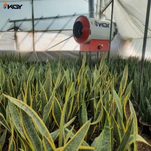 گرمایش گلخانه با هیتر