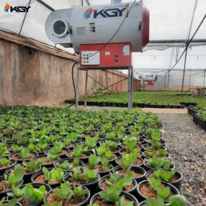 نصب هیتر در گلخانه