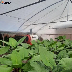 هیتر موشکی در گلخانه