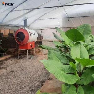 هیتر 150هزار در گلخانه