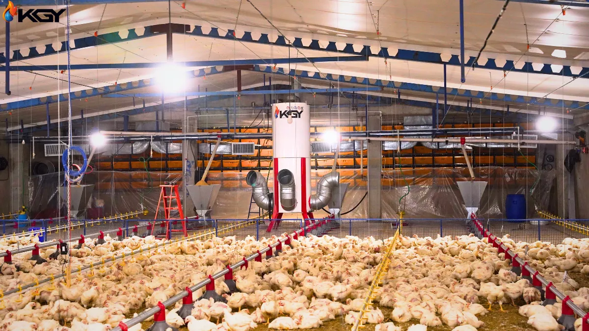 نکات کلیدی در انتخاب بهترین کوره هوای گرم برای سالنهای مرغداری 1 کوره هوای گرم مرغداری شعله غیر مستقیم