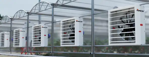 جانمایی اگزاست فن