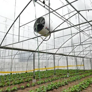 پروژه های اجرایی گلخانه ها 37 نصب فن سیرکوله در کاشان