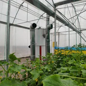 بخاری و مشعل در گلخانه کاشان