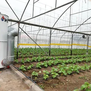 پروژه های اجرایی گلخانه ها 35 نصب هیتر گلخانه کاشان