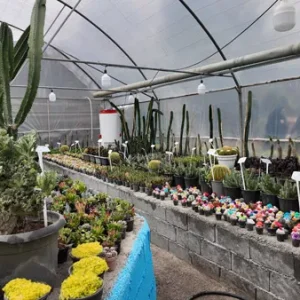 پروژه های اجرایی گلخانه ها 23 گرمایش باغ با هیتر