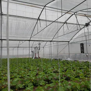 پروژه های اجرایی گلخانه ها 21 گرم کردن گلخانه با بخاری