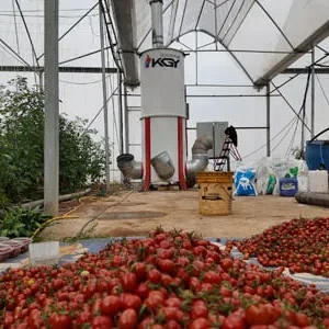 پروژه های اجرایی گلخانه ها 16 تصویر بخاری گلخانه 250هزار