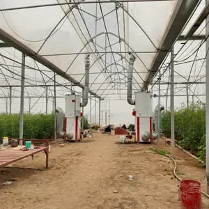 پروژه های اجرایی گلخانه ها 17 بخاری های مخصوص گلخانه