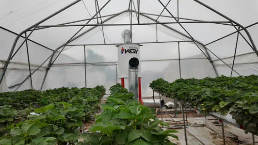 جانمایی هیتر در گلخانه