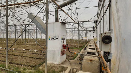 پروژه های اجرایی گلخانه ها 12 هیتر کابینتی در گلخانه