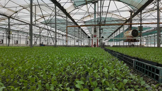 پروژه های اجرایی گلخانه ها 9 وسایل گرمایشی در گلخانه