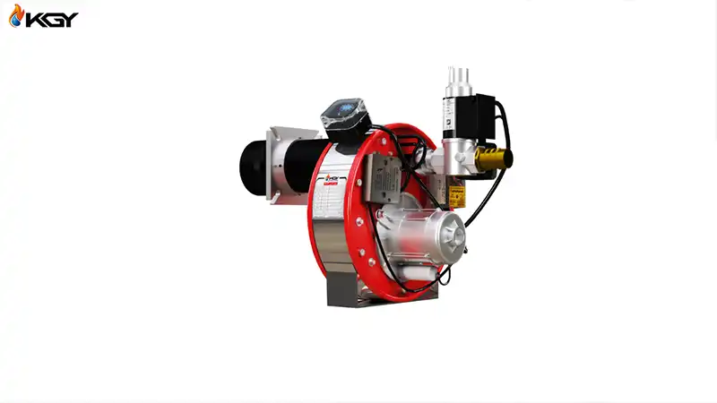 کولاک گستر یزد