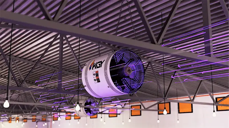 فن های سیرکوله