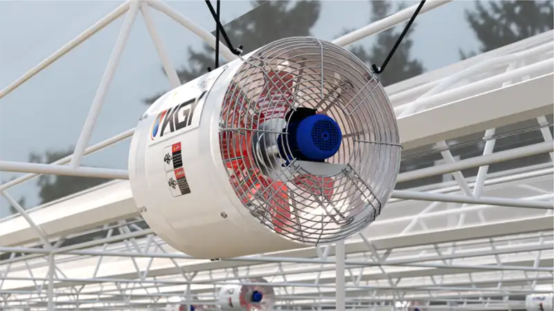 فن سیرکوله سالن قارچ