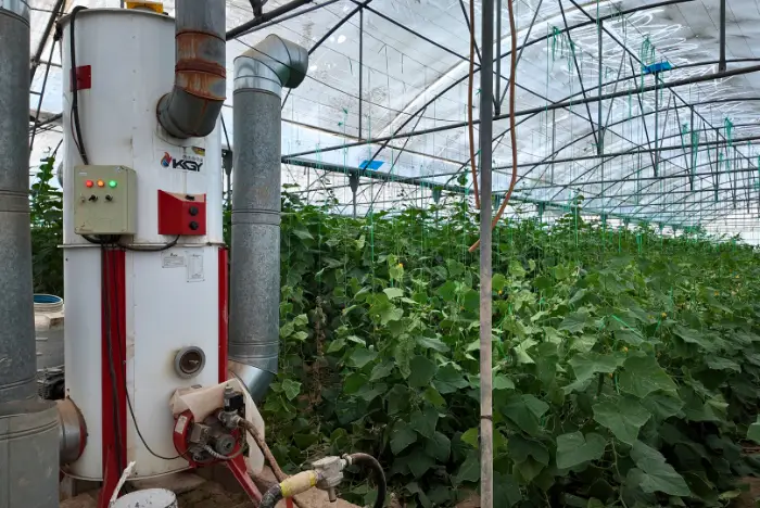 پروژه های اجرایی گلخانه ها 8 هیتر گلخانه ایستاده