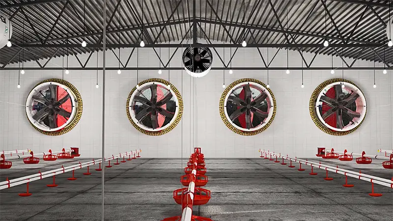 فن مخصوص مرغداری