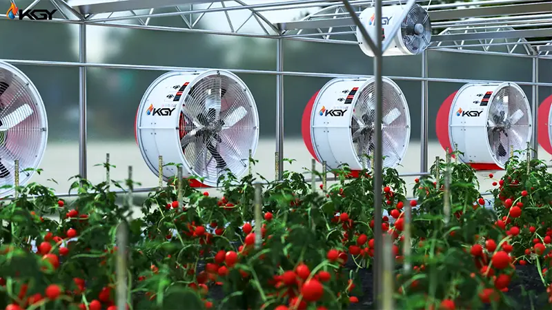 فن گلخانه 140 سانتیمتری 2 کولاک گستر یزد