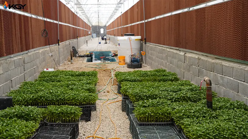 پد سلولزی با قاب گالوانیزه 4 سیستم سرمایش تبخیری گلخانه با پد سلولزی