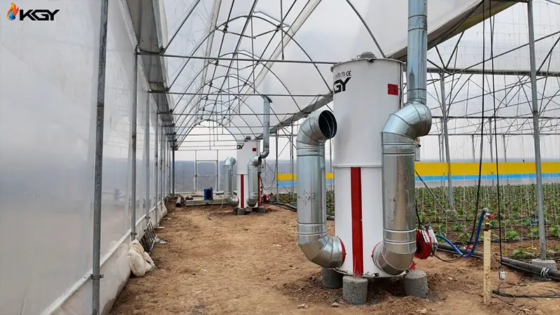 هیتر در گلخانه