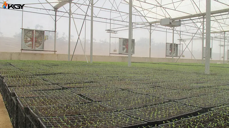 مزایای شگفتانگیز استفاده از سیستم مه پاش صنعتی در کارخانهها 2 مه پاش در گلخانه