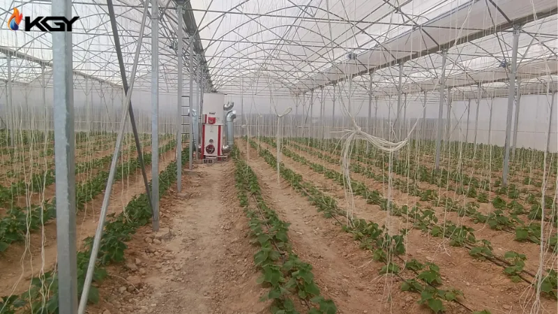 پروژه های اجرایی گلخانه ها 4 هیتر در گلخانه