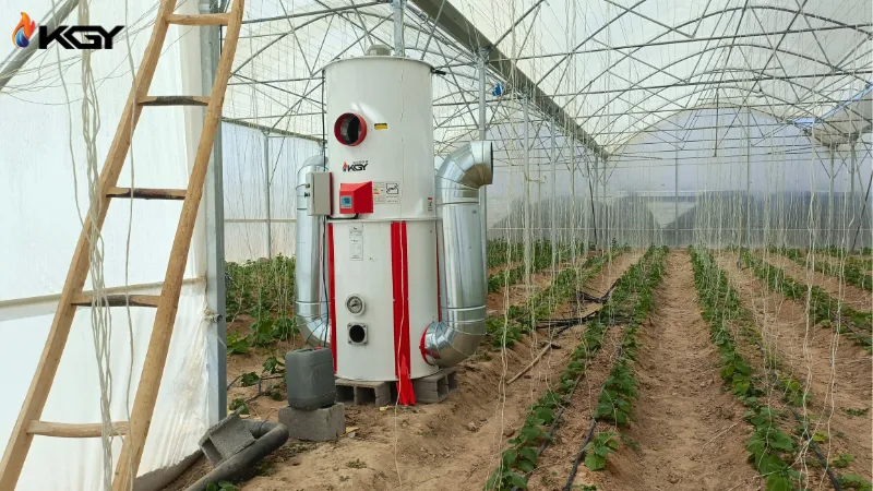 پروژه های اجرایی گلخانه ها 1 هیتر برای گلخانه بزرگ