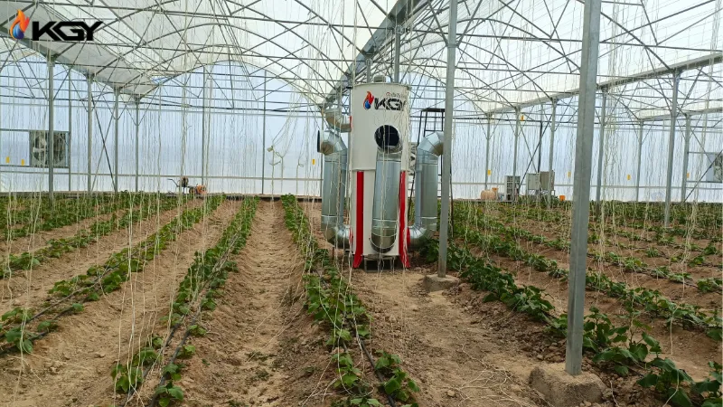 پروژه های اجرایی گلخانه ها 3 هیتر در گلخانه