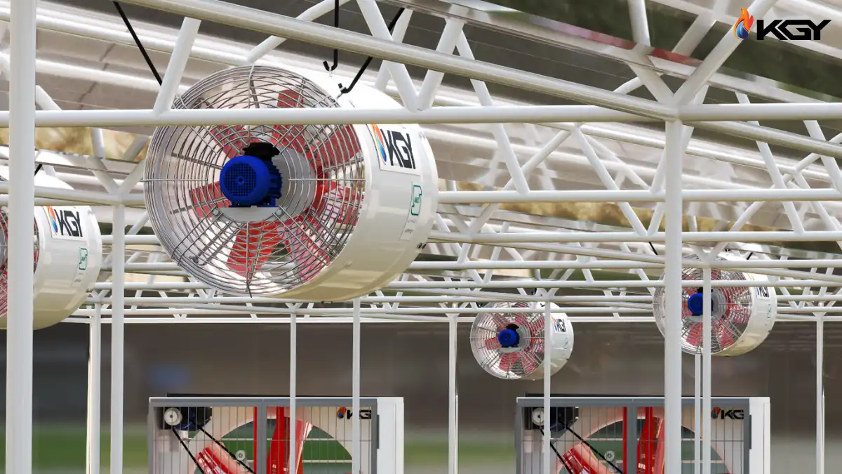 نکات فن سیرکوله