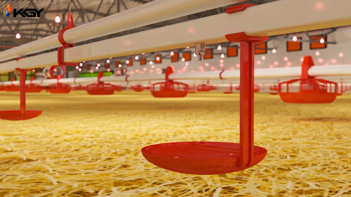 آبخوری مرغداری