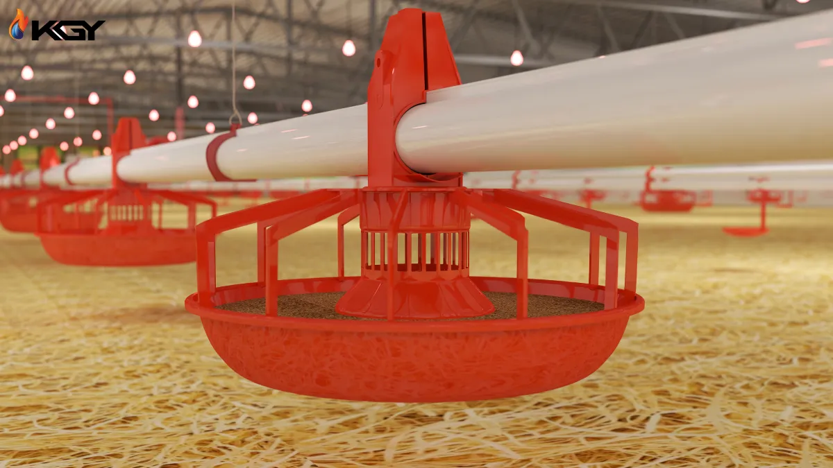 دانخوری مرغداری