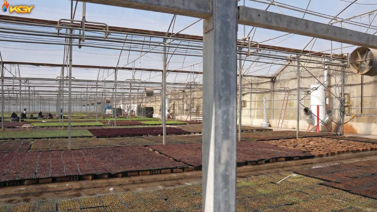 چرا هیتر ECO250 گرمایش پاک را به گلخانه شما هدیه میدهد؟ 3 گرمایش پاک گلخانه با بخاری کولاک گستر یزد