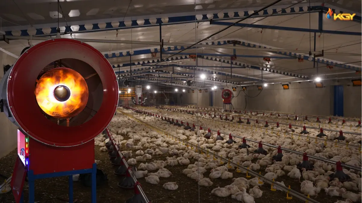 جت هیتر نصب شده در مرغداری