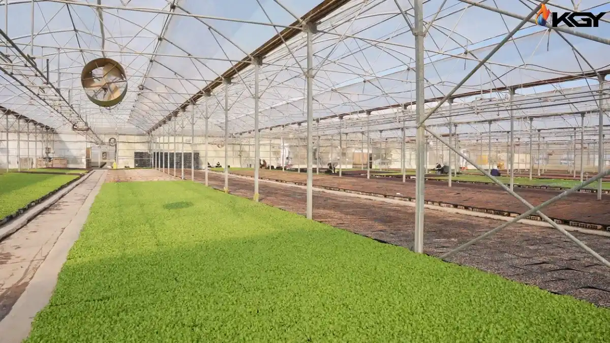 تاثیر استفاده از فن سیرکوله در کاهش اتلاف گرما گلخانه 